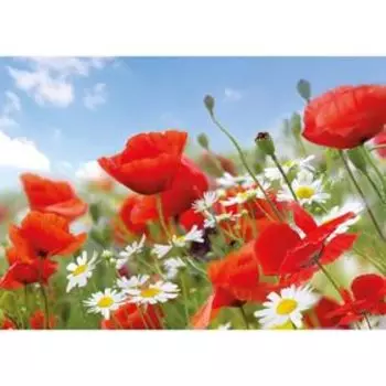Фотообои Красные маки ЛЮКС 2,91х2,04 м (из 9 листов)