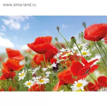 Фотообои Красные маки ПРЕМИУМ 2,91х2,04 м (из 9 листов)