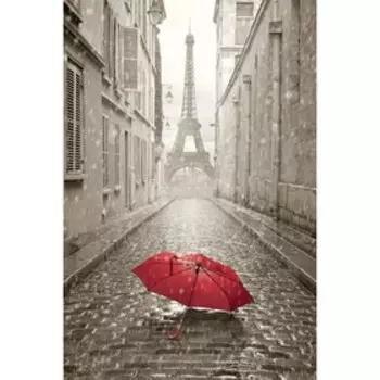 Фотообои Красный зонт 1,8*2,7 (из 2 листов)