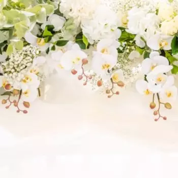 Фотообои Moda Interio, Flizelini F3025-3 Нежные орхидеи (3 полотна), 2,7*2,7м