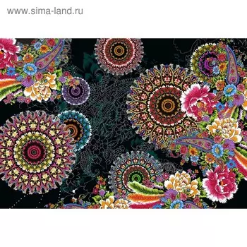 Фотообои на Бумажной основе Komar 8-939 Цветочные круги 368х254см