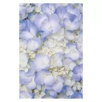 Фотообои на флизелиновой основе Гортензия 1,8х2,7 м (состоит из 2-х частей)