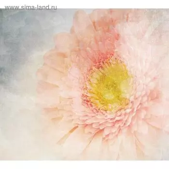 Фотообои "Нежная гербера" M 520 (2 полотна), 200х180 см