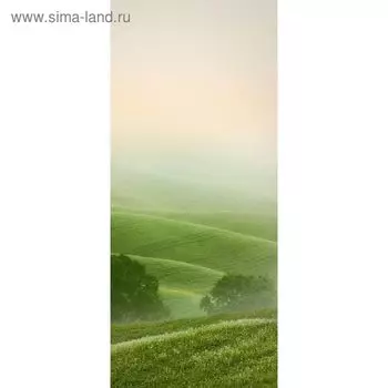 Фотообои "Нежное утро" С-042 (1 полотно), 95x220 см