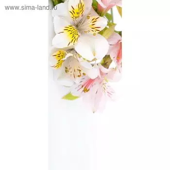 Фотообои "Нежные лилии" С-059 (1 полотно), 95x220 см