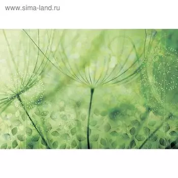 Фотообои "Новая жизнь" M 757 (3 полотна), 300х200 см