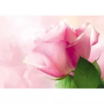 Фотообои Очарование ПРЕМИУМ 1,94х1,36 м (4 листа)