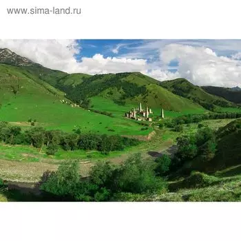 Фотообои "Родная природа" M 4504 400х270(4 полотна), 400х270 см