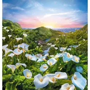 Фотообои Рождение дня ЛЮКС 1,94х2,04 м (из 6 листов)