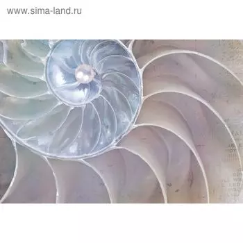 Фотообои "Рождение жемчужины" M 436 (4 полотна), 400х270 см