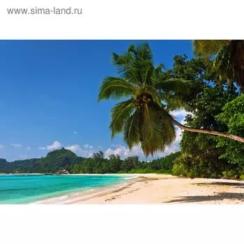 Фотообои "Солнечный берег" M 784 (3 полотна), 300х200 см