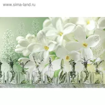 Фотообои "Свежесть" M 490 (4 полотна), 400х270 см