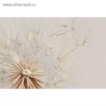 Фотообои "Свежий ветер" M 456 (4 полотна), 400х270 см