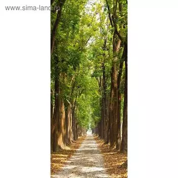 Фотообои "Тенистая аллея" С-025 (1 полотно), 95x220 см