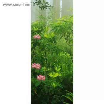 Фотообои "Тропический лес" С-041 (1 полотно), 95x220 см