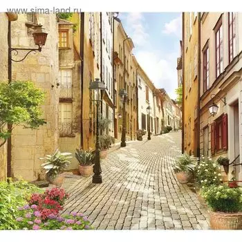 Фотообои "Улочка" M 315 (3 полотна), 300х270 см