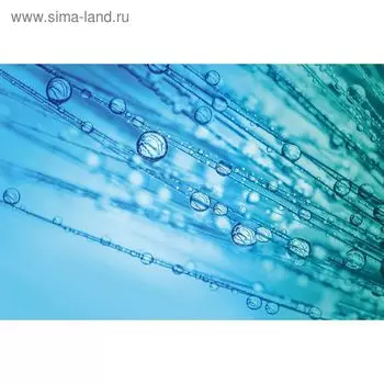 Фотообои "Воздушные капли" M 735 (3 полотна), 300х200 см