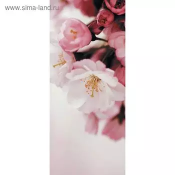 Фотообои "Яблоневый цвет" С-050 (1 полотно), 95x220 см