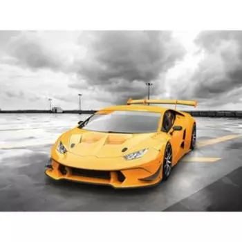 Фотообои Жёлтая бестия 3.6*2,7 (из 4 листов)