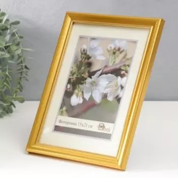Фоторамка 1017-1056 (15х21) см