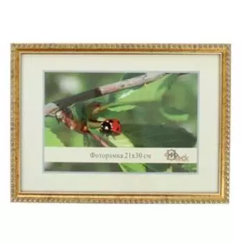 Фоторамка 118-1123 формат А4 (21х30 см)