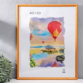 Фоторамка для фото 4050 см Albuquerque, дерево, (пластиковый экран)