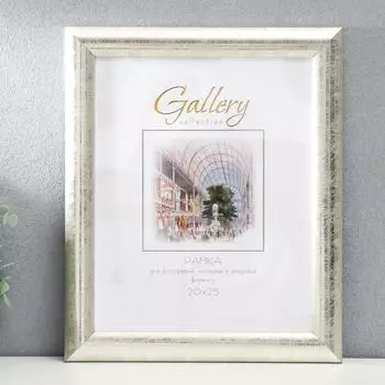 Фоторамка Gallery 20х25 см, 647221-7, серебро (пластиковый экран)