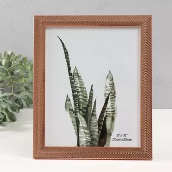 Фоторамка 2025 см «Золотой колос», пластик, 23.428.5 см