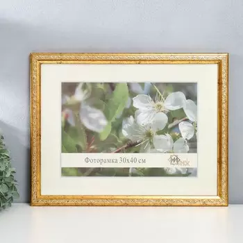 Фоторамка пластик 30х40 см 2315-1127-5