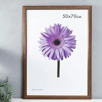 Фоторамка пластик Daria 50х70 см светло-коричневая