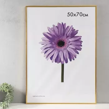 Фоторамка пластик Lida 50х70 см золото (пластиковый экран)
