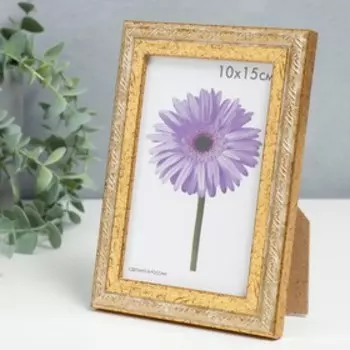 Фоторамка пластик Rosa 10х15 см золото