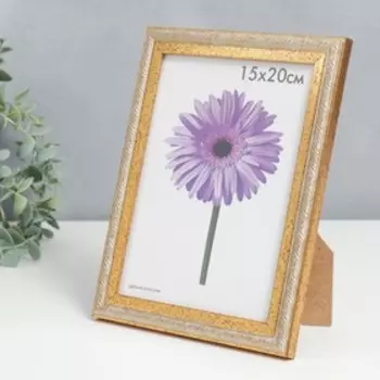 Фоторамка пластик Rosa 15х20 см золото