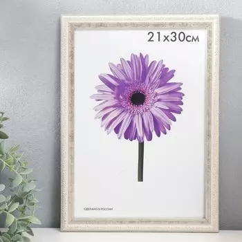 Фоторамка пластик Rosa 21х30 см серебро