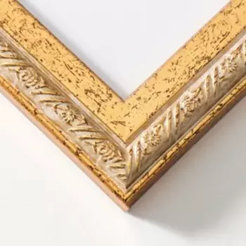 Фоторамка пластик Rosa 40х50 см золото