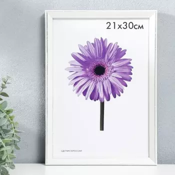 Фоторамка пластик Viola 21х30 см белая
