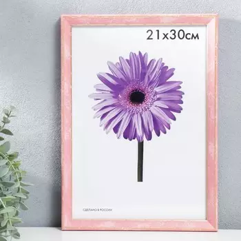 Фоторамка пластик Viola 21х30 см розовая