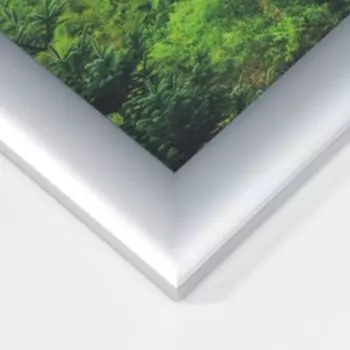 Фоторамка пластиковая 21х30 см 742 серебро (пластиковый экран)