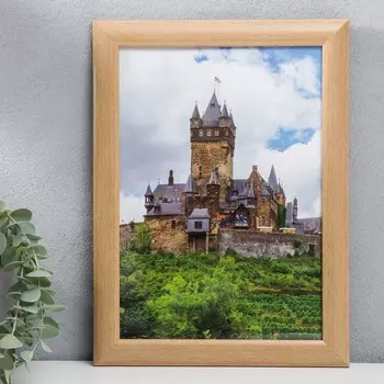 Фоторамка пластиковая 21х30см 742 клен (пластиковый экран)