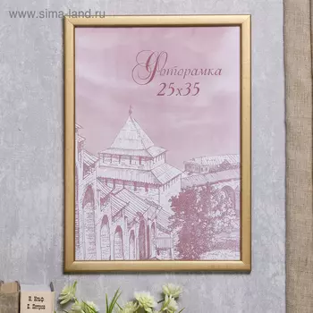 Фоторамка для фото 2535 см Samoa, сосна, (пластиковый экран), золото