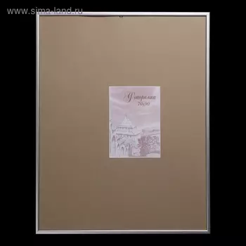 Фоторамка сосна с19 серебро 70х90 см (пластиковый экран)