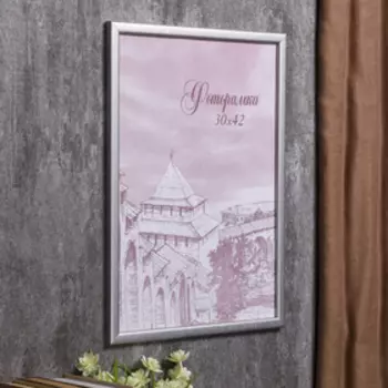 Фоторамка для фото 3042 см Samoa, сосна, (пластиковый экран), серебро