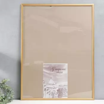 Фоторамка сосна с19 золото 60х80 см (пластиковый экран)