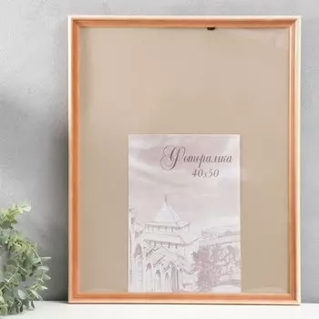 Фоторамка для фото 4050 см Bountiful, сосна, (пластиковый экран)