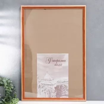 Фоторамка для фото 4060 см Bountiful, сосна, (пластиковый экран)