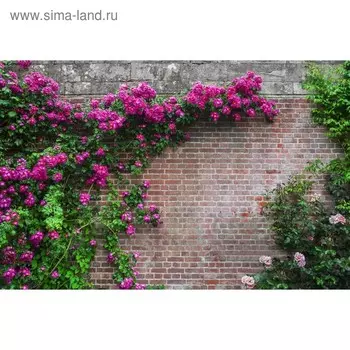 Фотосетка, 250 158 см, с фотопечатью, люверсы шаг 1 м, «Кирпичная стена», Greengo