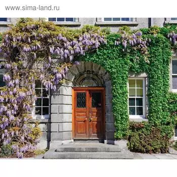 Фотосетка, 250 200 см, с фотопечатью, люверсы шаг 1 м, «Фасад в цветах», Greengo