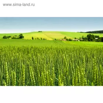 Фотосетка, 300 158 см, с фотопечатью, люверсы шаг 1 м, «Луг», Greengo