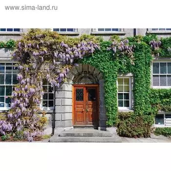 Фотосетка, 300 200 см, с фотопечатью, люверсы шаг 1 м, «Фасад в цветах», Greengo