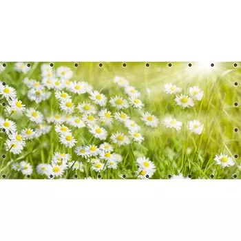 Фотосетка, 314 155 см, с фотопечатью, люверсы шаг 0.3 м, «Ромашки»